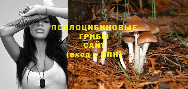 тгк Аркадак